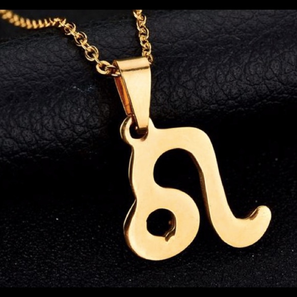 Leo ♌️ sign pendant necklace